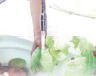 オゾン水による野菜の洗浄イメージ
